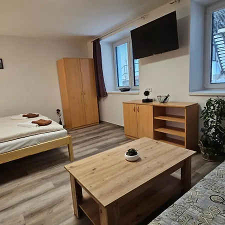 U Provaznika Apartment Zdikov