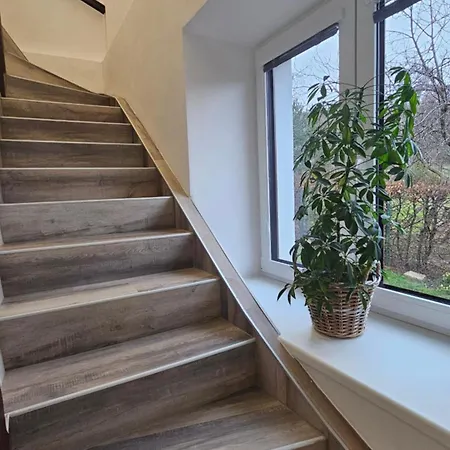 U Provaznika Apartment