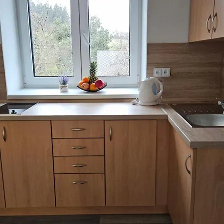 Apartment U Provaznika Zdikov